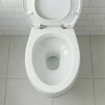 Stap 1: leeg toilet